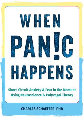 bokomslag When Panic Happens