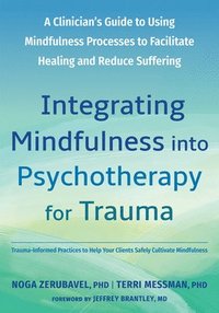 bokomslag Integrating Mindfulness Into Psychotherapy for Trauma: A Clinician's Guide to Using Mindfulness Processes to Facilitate Healing and Reduce Suffering