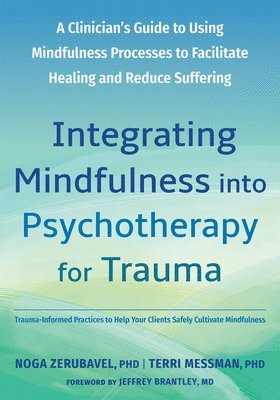 bokomslag Integrating Mindfulness Into Psychotherapy for Trauma: A Clinician's Guide to Using Mindfulness Processes to Facilitate Healing and Reduce Suffering