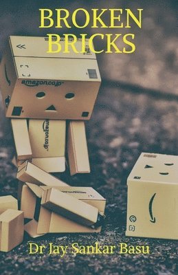 Jay, Jay,Dr. - Broken Bricks, Häftad