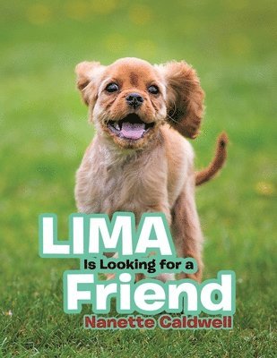 bokomslag Lima Is Looking for a Friend