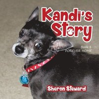 bokomslag Kandi's Story