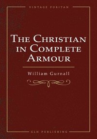 bokomslag Christian In Complete Armour