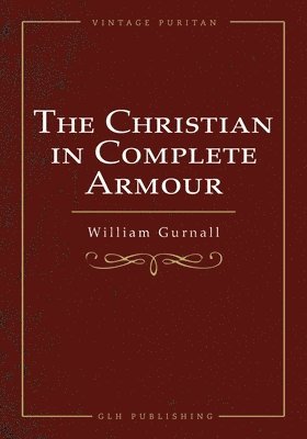 bokomslag Christian In Complete Armour