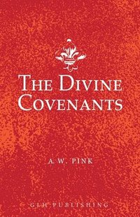 bokomslag The Divine Covenants