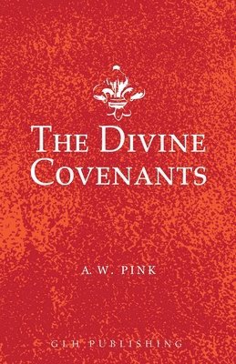 bokomslag The Divine Covenants