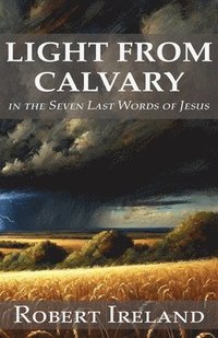 bokomslag Light from Calvary in the Seven Last Words of Jesus