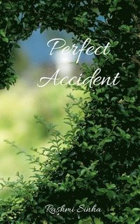 bokomslag Perfect Accident