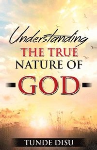 bokomslag Understanding The True Nature of God