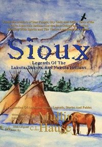 bokomslag Sioux Legends Of The Lakota, Dakota, And Nakota Indians