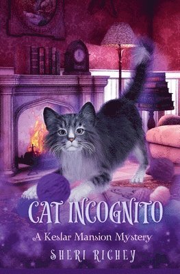 Cat Incognito 1