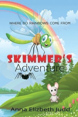 bokomslag Skimmer's Adventure