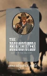 bokomslag Broncobusters