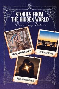 bokomslag Stories From the Hidden World