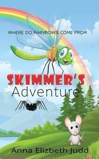 bokomslag Skimmer's Adventure