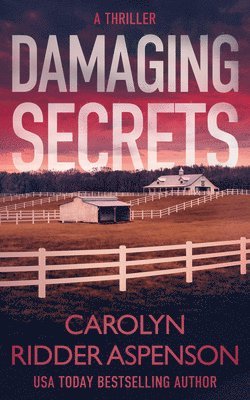 Carolyn Ridder Aspenson - Damaging Secrets, Häftad