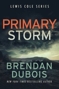 bokomslag Primary Storm