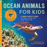 bokomslag Ocean Animals For Kids