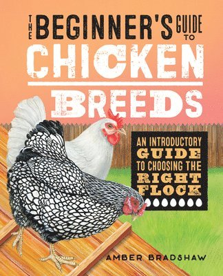 Amber Bradshaw - The Beginner's Guide to Chicken Breeds: An Introductory Guide to Choosing the Right Flock, Häftad