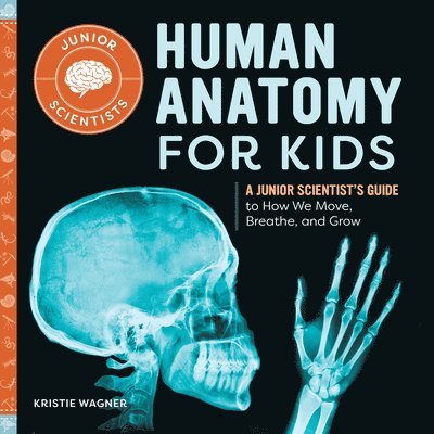 Human Anatomy for Kids 1