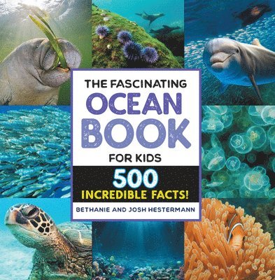 The Fascinating Ocean Book for Kids 1