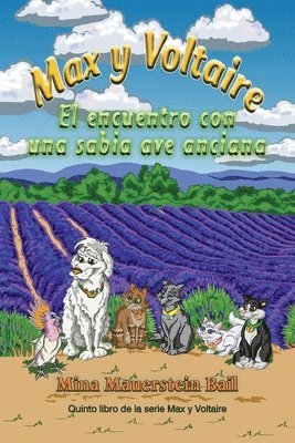 bokomslag Max y Voltaire El encuentro con una sabia ave anciana