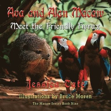 bokomslag Ava and Alan Macaw Meet the Friendly Hyrax