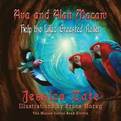 Ava and Alan Macaw Help a Lilac Breasted Roller 1