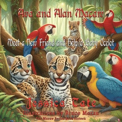 Ava and Alan Macaw Find a New Friend and Help the Baby Ocelot 1
