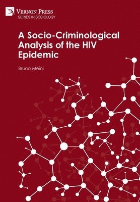 bokomslag A Socio-Criminological Analysis of the HIV Epidemic