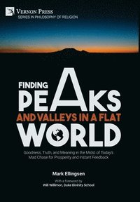 bokomslag Finding Peaks and Valleys in a Flat World