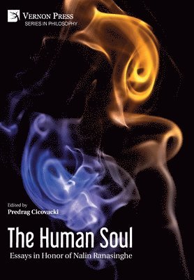 Predrag Cicovacki - Human Soul: Essays in Honor of Nalin Ranasinghe, Inbunden