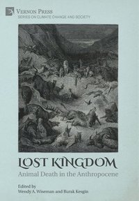 bokomslag Lost Kingdom