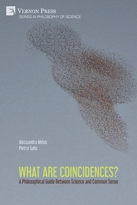 What are Coincidences? A Philosophical Guide Between Science and Common Sense