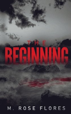 bokomslag Beginning