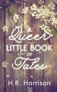 bokomslag Queer Little Book of Tales