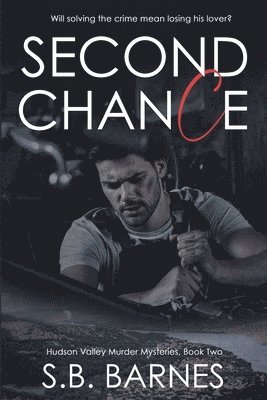 bokomslag Second Chance