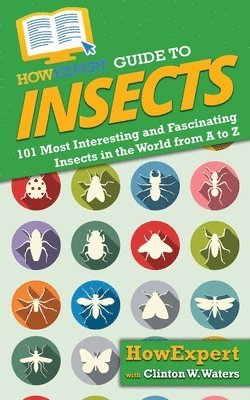 bokomslag HowExpert Guide to Insects