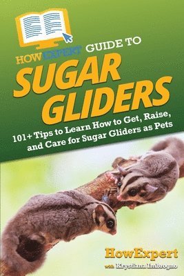 bokomslag HowExpert Guide to Sugar Gliders