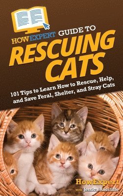 bokomslag HowExpert Guide to Rescuing Cats