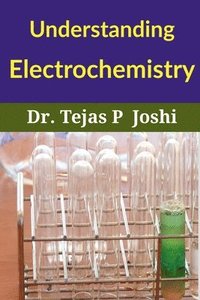 bokomslag Understanding Electrochemistry