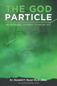 bokomslag The God Particle