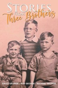 bokomslag Stories From Three Brothers