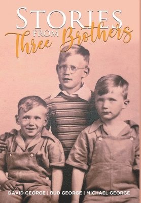 bokomslag Stories From Three Brothers