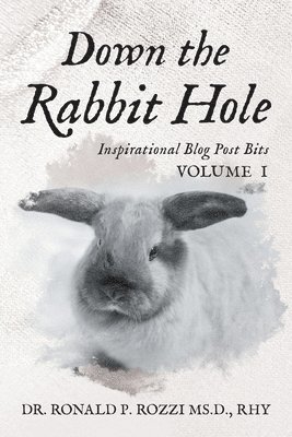 Down the Rabbit Hole 1