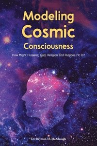bokomslag Modeling Cosmic Consciousness
