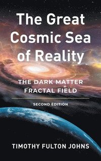 bokomslag The Great Cosmic Sea of Reality