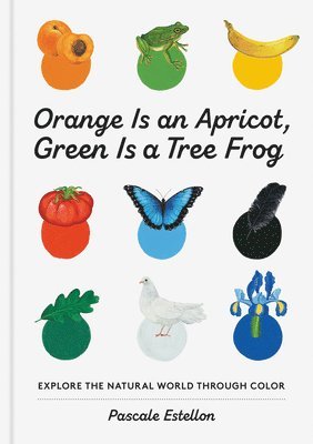 Pascale Estellon - Orange Is an Apricot, Green Is a Tree Frog, Inbunden