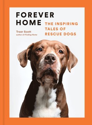 Traer Scott - Forever Home: The Inspiring Tales of Rescue Dogs, Inbunden