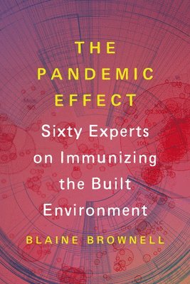 bokomslag Pandemic Effect